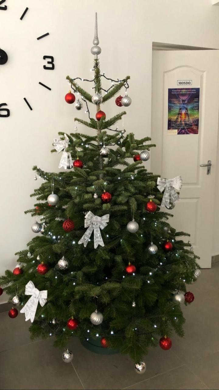Tiszafüred Boro Apartman מראה חיצוני תמונה